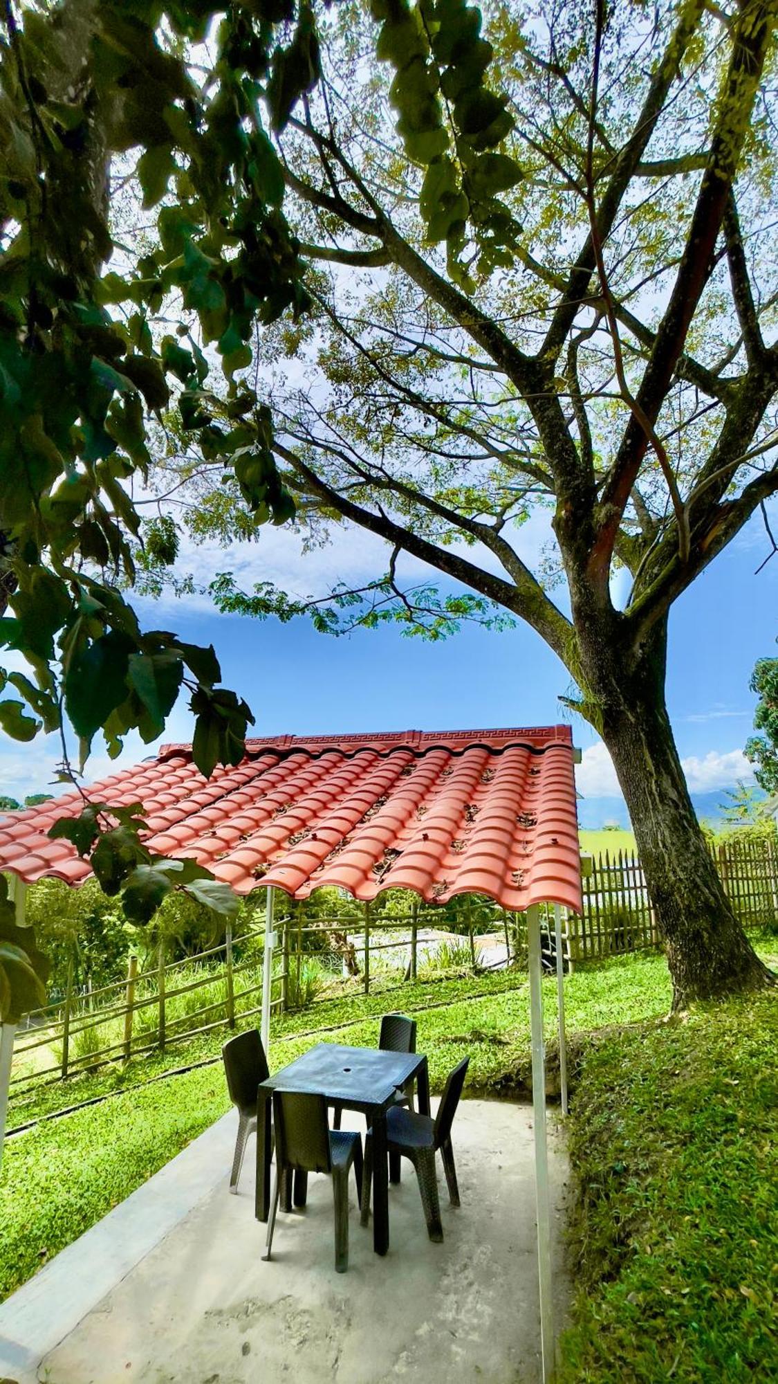 Hotel Loto Del Viento Cartago Esterno foto